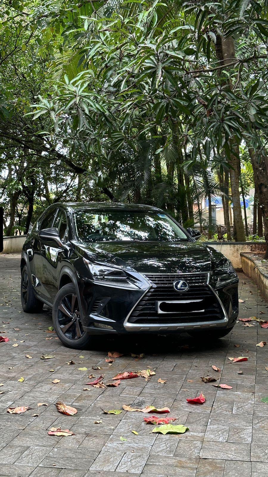 Lexus NX 300h